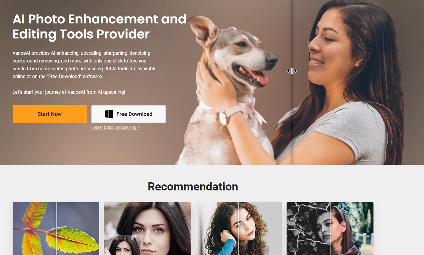 VanceAI product screenshot
