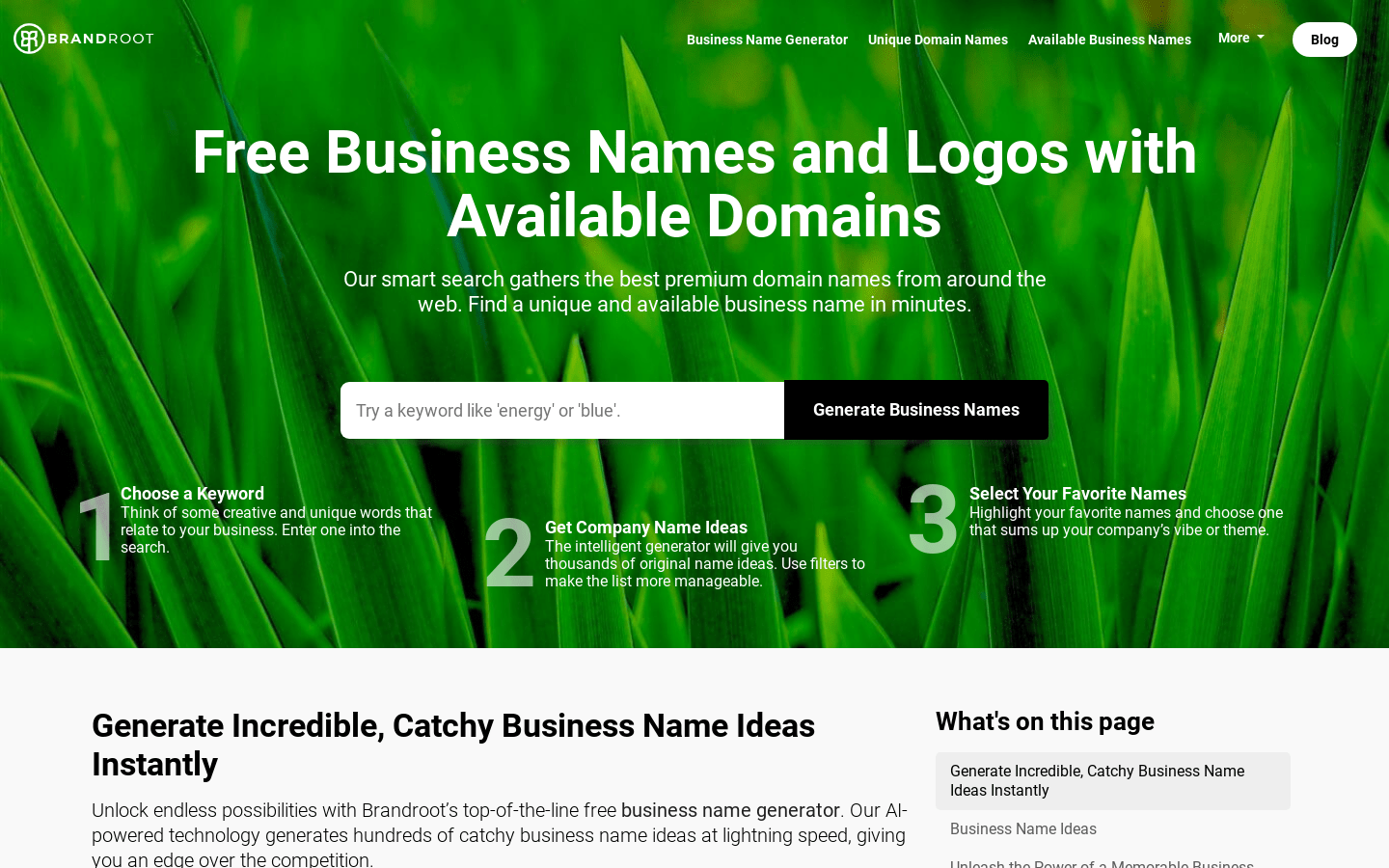 Business Names and Logos product screenshot
