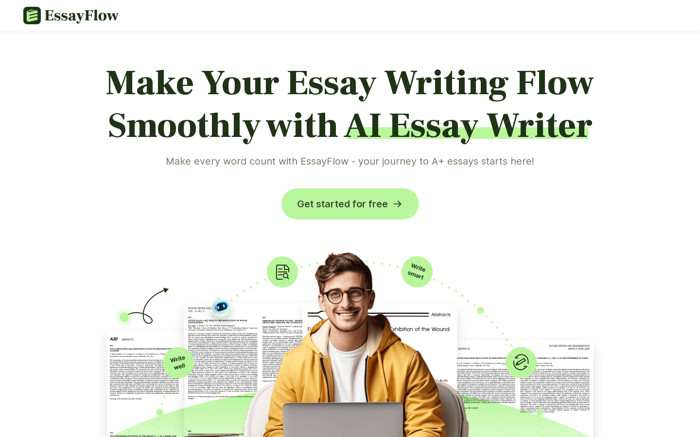 EssayFlow ai product screenshot