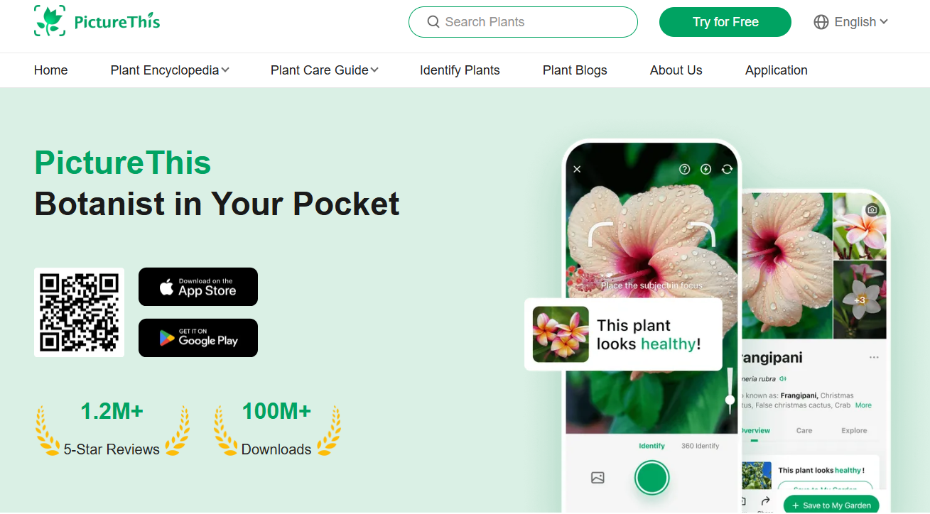 PictureThis product screenshot