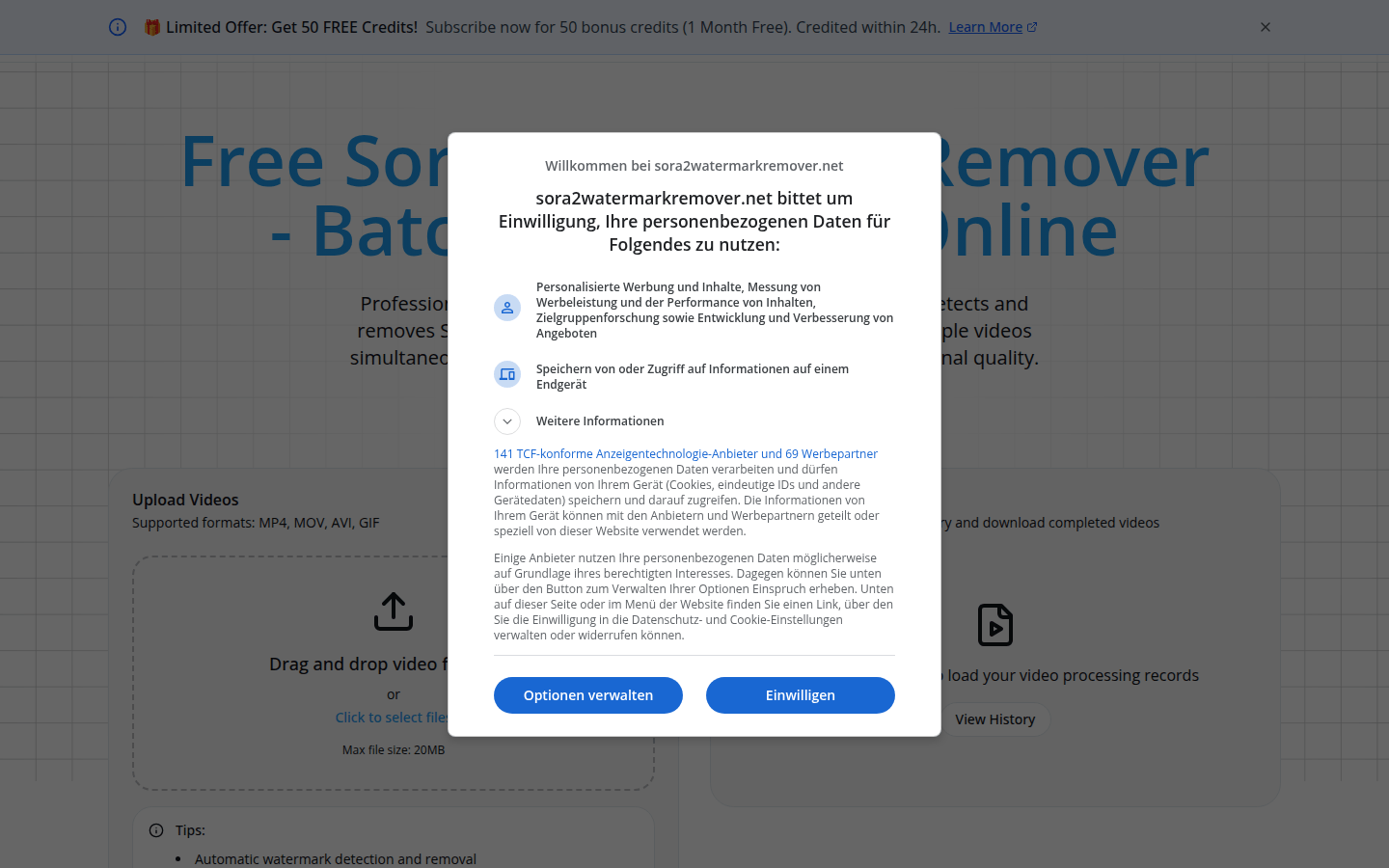 Sora2WatermarkRemover product screenshot