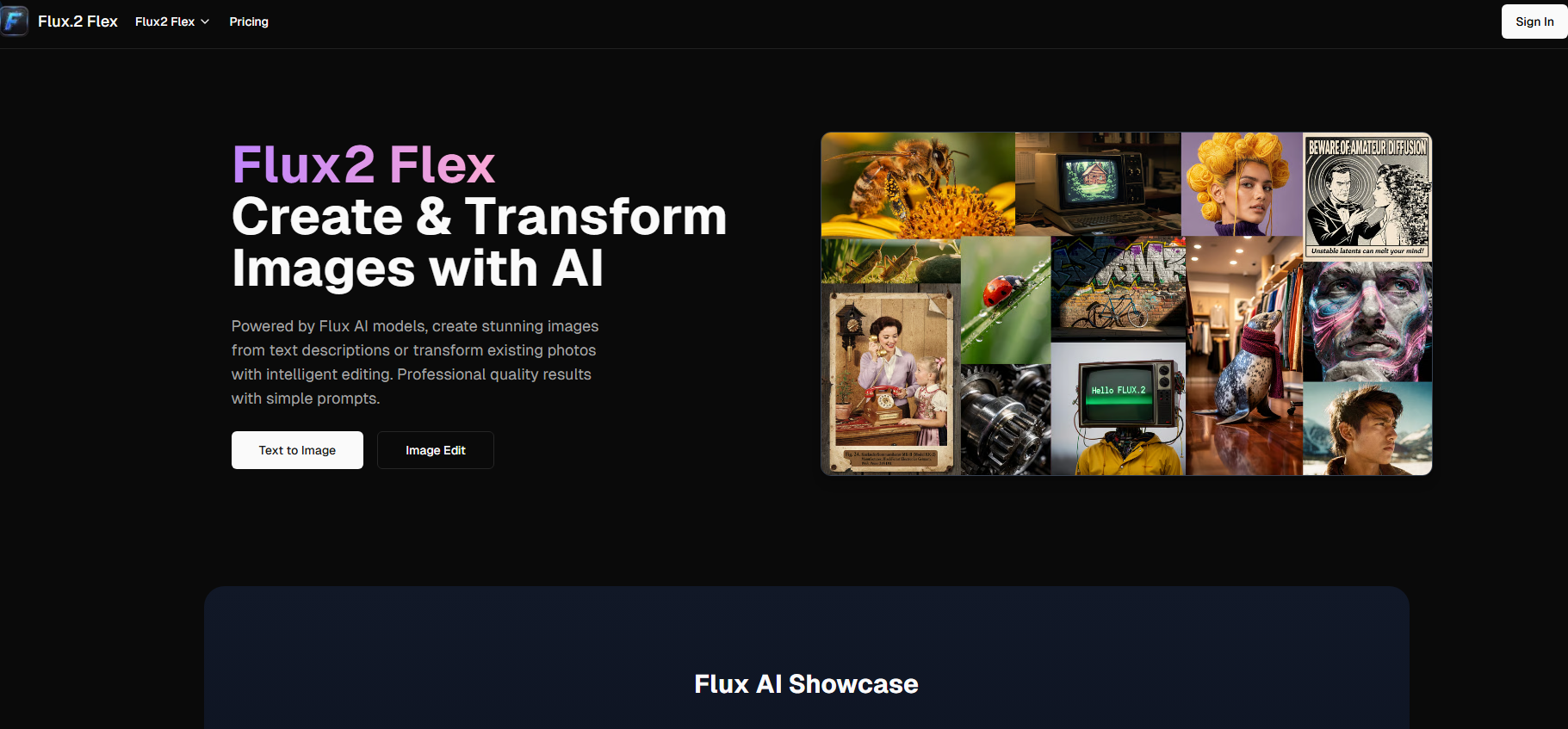 Flux.2 Flex product screenshot