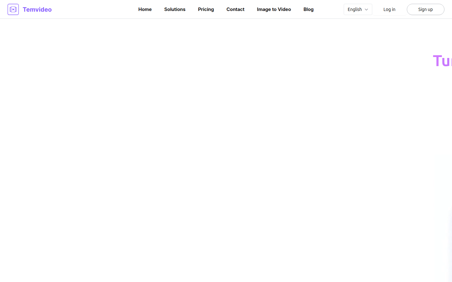 TemVideo product screenshot