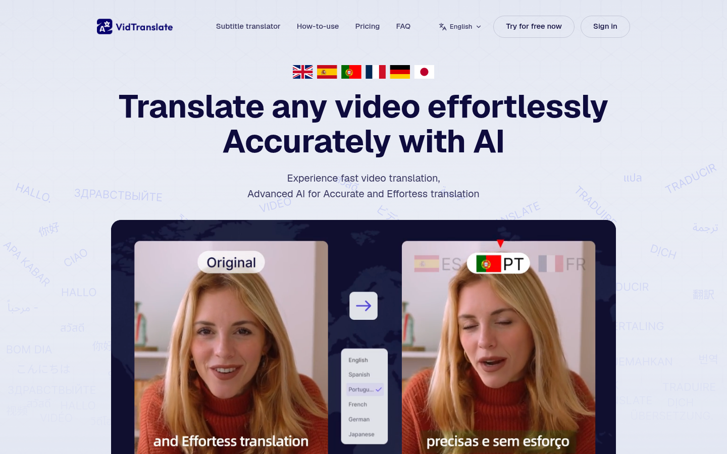 VidTranslate product screenshot