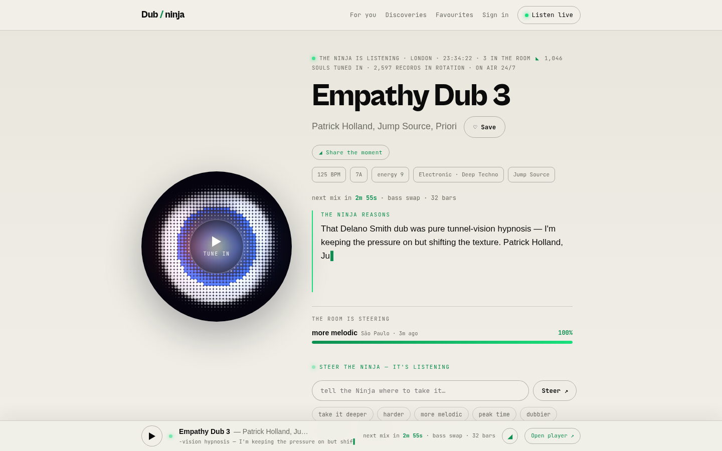 Dub Ninja product screenshot