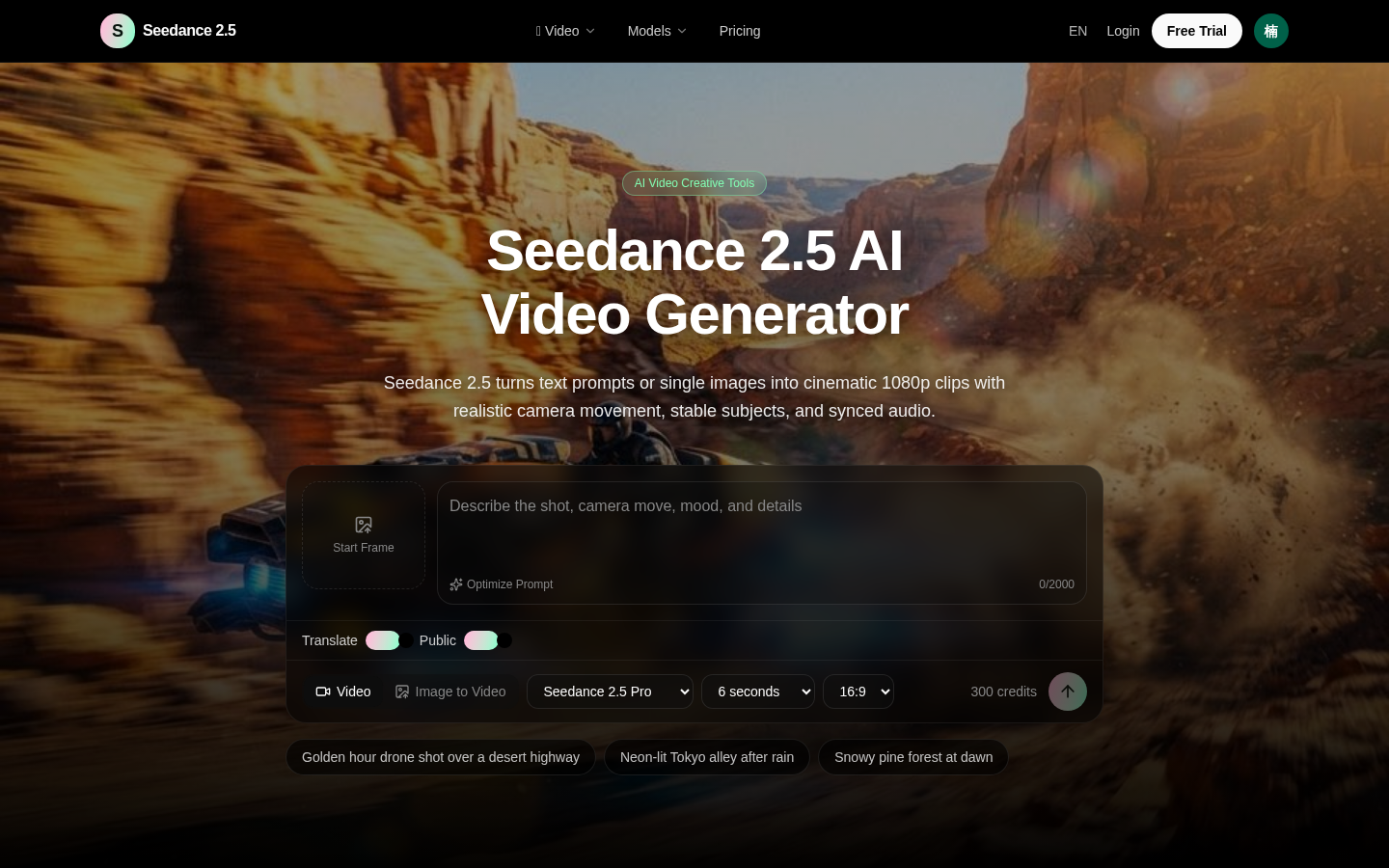 Seedance 2.5 product screenshot