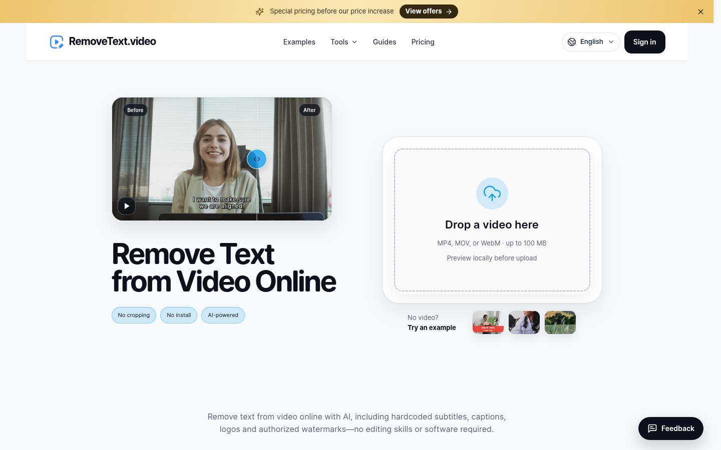 RemoveText.video product screenshot