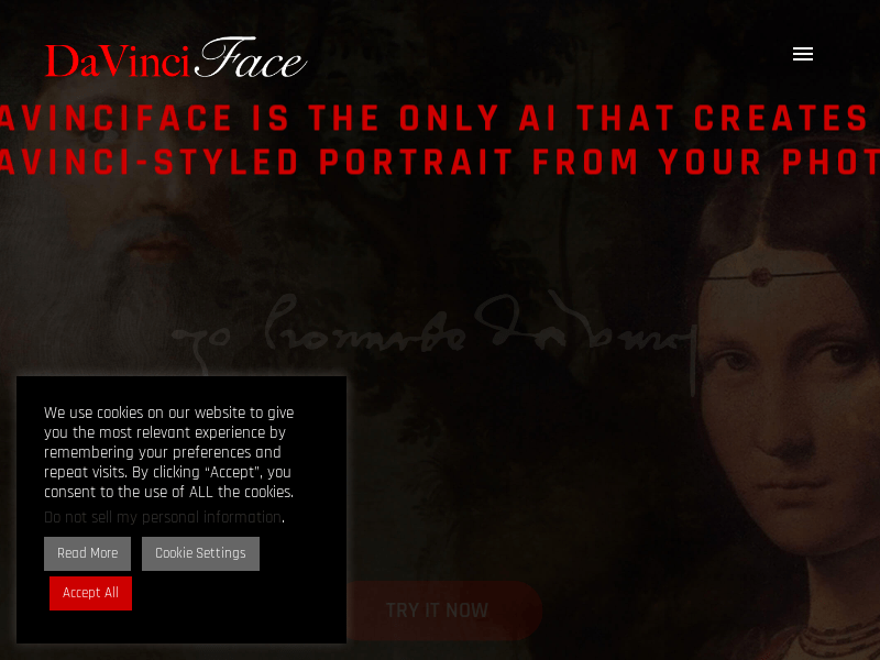 DaVinciFace product screenshot